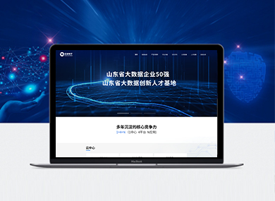 網(wǎng)站建設(shè)